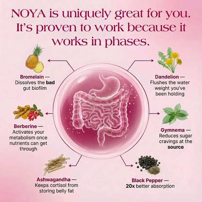NOYA Gut Biofilm Ritual